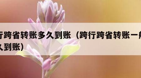 跨行跨省转账多久到账（跨行跨省转账一般要多久到账）