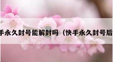 快手永久封号能解封吗（快手永久封号后果）