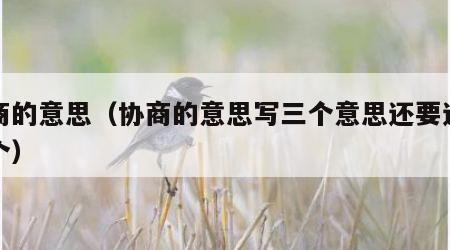 协商的意思（协商的意思写三个意思还要还有那个）