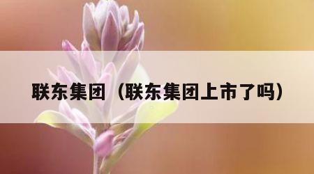 联东集团（联东集团上市了吗）