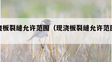 现浇板裂缝允许范围（现浇板裂缝允许范围规范）