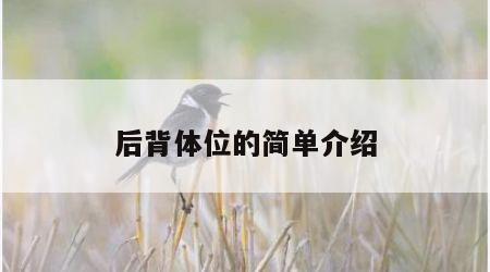 后背体位的简单介绍