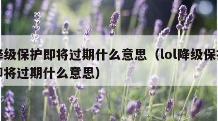 降级保护即将过期什么意思（lol降级保护即将过期什么意思）