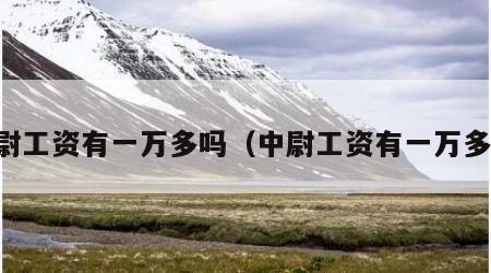 中尉工资有一万多吗（中尉工资有一万多吗）