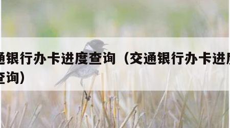 交通银行办卡进度查询（交通银行办卡进度哪里查询）