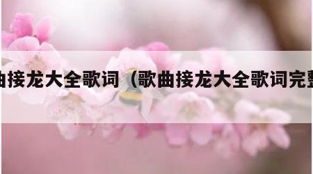 歌曲接龙大全歌词（歌曲接龙大全歌词完整版）