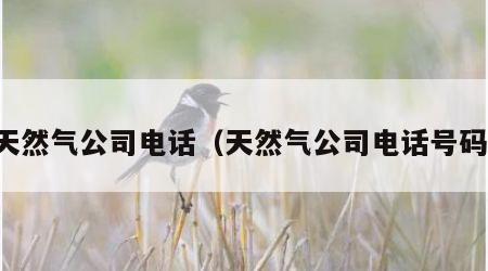 天然气公司电话（天然气公司电话号码）