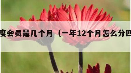 季度会员是几个月（一年12个月怎么分四季）