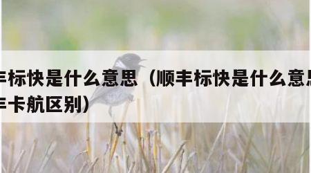 顺丰标快是什么意思（顺丰标快是什么意思与顺丰卡航区别）