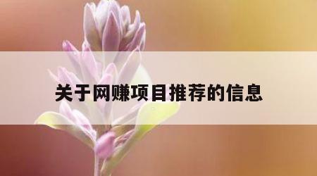 关于网赚项目推荐的信息