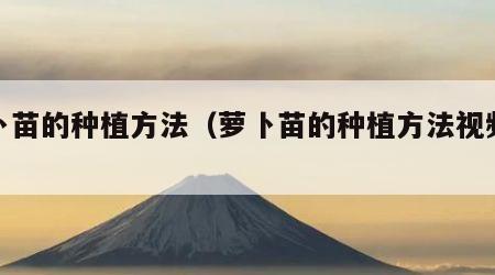 萝卜苗的种植方法（萝卜苗的种植方法视频教程）