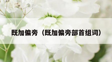 既加偏旁（既加偏旁部首组词）