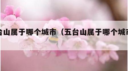 五台山属于哪个城市（五台山属于哪个城市管辖）