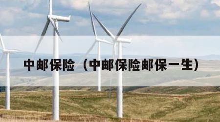 中邮保险（中邮保险邮保一生）