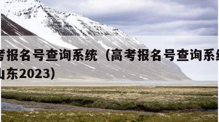 高考报名号查询系统（高考报名号查询系统入口山东2023）