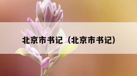 北京市书记（北京市书记）