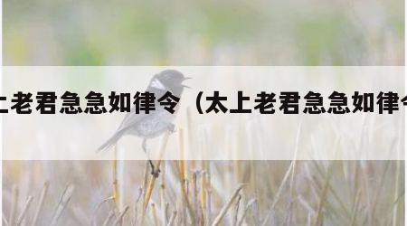 太上老君急急如律令（太上老君急急如律令全文）