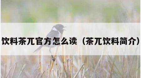饮料茶兀官方怎么读（茶兀饮料简介）