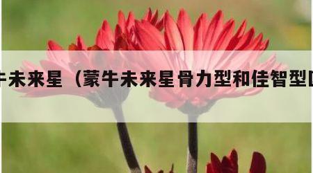蒙牛未来星（蒙牛未来星骨力型和佳智型区别）