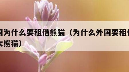 外国为什么要租借熊猫（为什么外国要租借中国大熊猫）