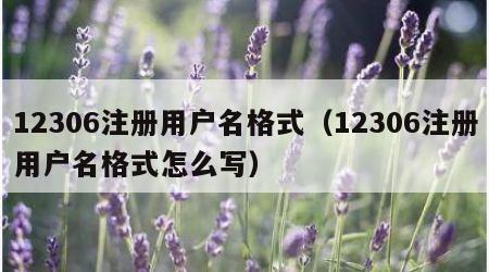 12306注册用户名格式（12306注册用户名格式怎么写）