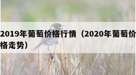 2019年葡萄价格行情（2020年葡萄价格走势）