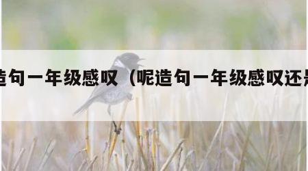 呢造句一年级感叹（呢造句一年级感叹还是问号）