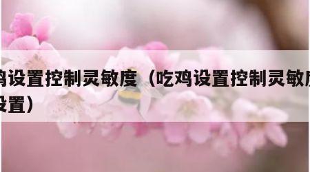 吃鸡设置控制灵敏度（吃鸡设置控制灵敏度怎么设置）
