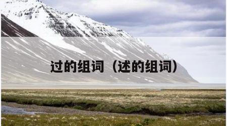 过的组词（述的组词）