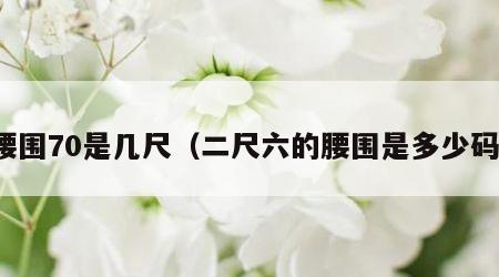 腰围70是几尺（二尺六的腰围是多少码）