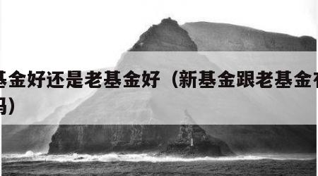 新基金好还是老基金好（新基金跟老基金有区别吗）