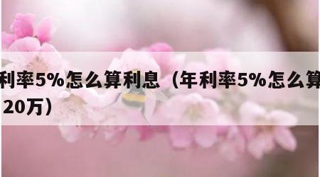 年利率5%怎么算利息（年利率5%怎么算利息 20万）