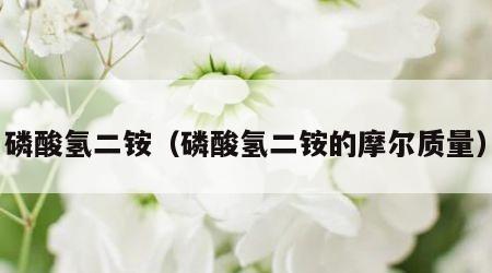 磷酸氢二铵（磷酸氢二铵的摩尔质量）