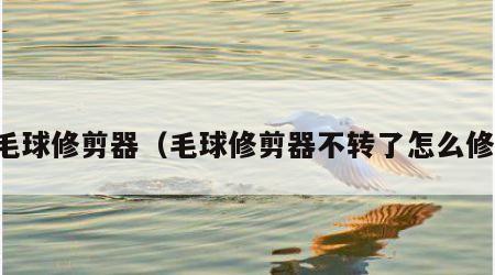 毛球修剪器（毛球修剪器不转了怎么修）