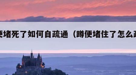 蹲便堵死了如何自疏通（蹲便堵住了怎么疏通）
