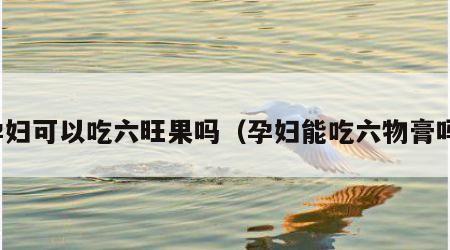 孕妇可以吃六旺果吗（孕妇能吃六物膏吗）