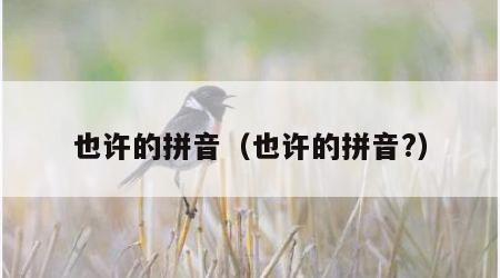 也许的拼音（也许的拼音?）