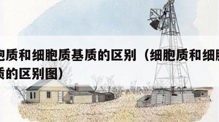 细胞质和细胞质基质的区别（细胞质和细胞质基质的区别图）