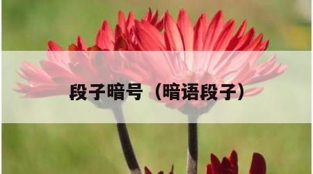 段子暗号（暗语段子）