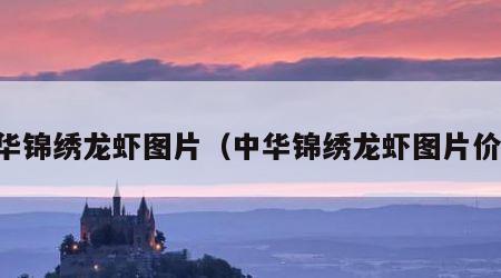 中华锦绣龙虾图片（中华锦绣龙虾图片价格）
