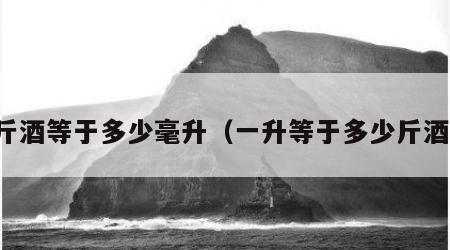 一斤酒等于多少毫升（一升等于多少斤酒水）