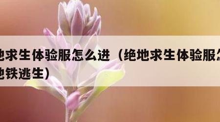 绝地求生体验服怎么进（绝地求生体验服怎么进地铁逃生）