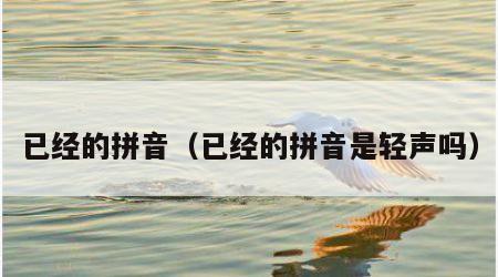 已经的拼音（已经的拼音是轻声吗）