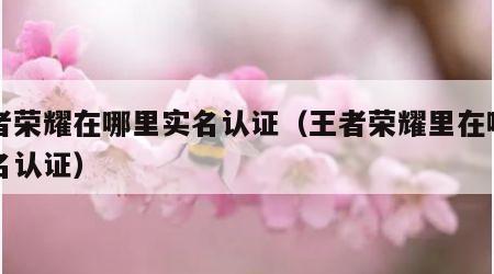 王者荣耀在哪里实名认证（王者荣耀里在哪里实名认证）