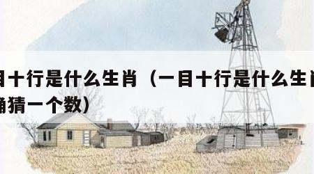 一目十行是什么生肖（一目十行是什么生肖最准确猜一个数）