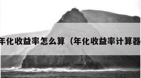 年化收益率怎么算（年化收益率计算器）