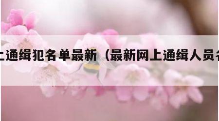 网上通缉犯名单最新（最新网上通缉人员名单）