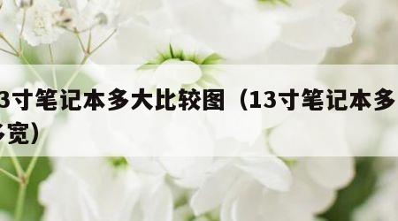 13寸笔记本多大比较图（13寸笔记本多长多宽）