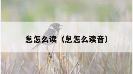 怠怎么读（怠怎么读音）