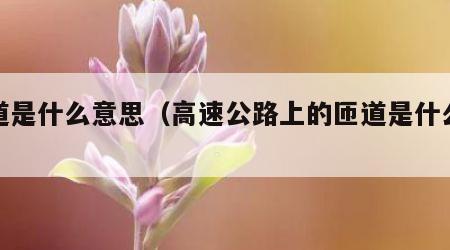 匝道是什么意思（高速公路上的匝道是什么意思）